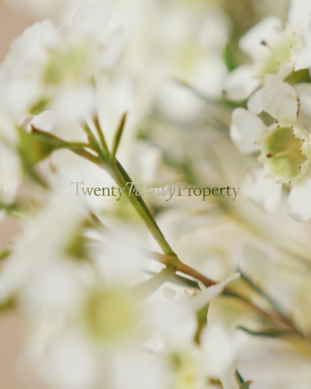 Sideplate Studio. Serving Brand Design.